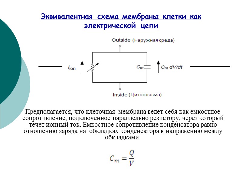 Предполагается, что клеточная  мембрана ведет себя как емкостное сопротивление, подключенное параллельно резистору, через